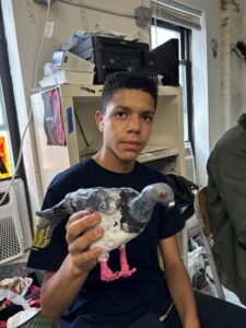 A boy holding a pigeon in his hands.