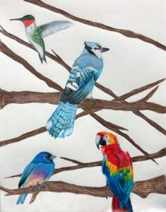 Colorful birds perched on tree branches in an artistic style.